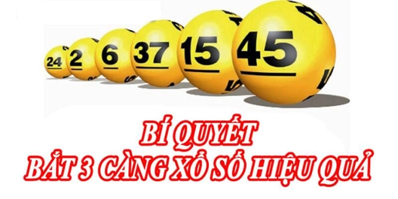 Bí quyết bắt 3 càng hiệu quả