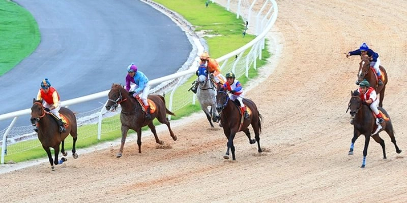 cá cược đua ngựa