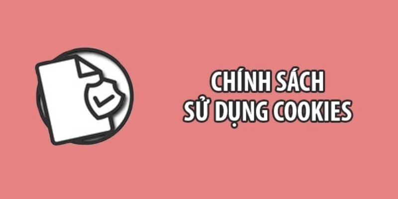 Các điểm cần đặc biệt chú ý khi thực hiện các chính sách