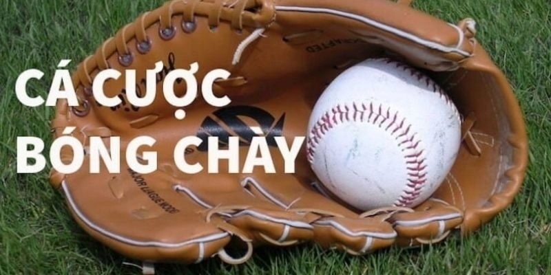 Các loại hình cược bóng chày phổ biến nhất