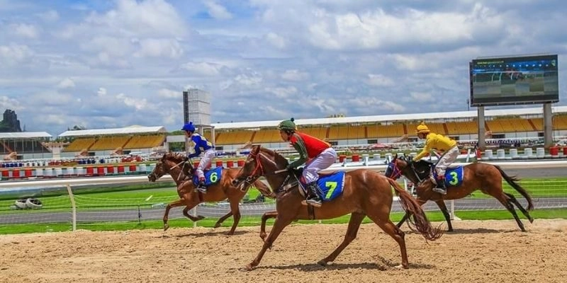 Sơ lược về bộ môn cá cược đua ngựa